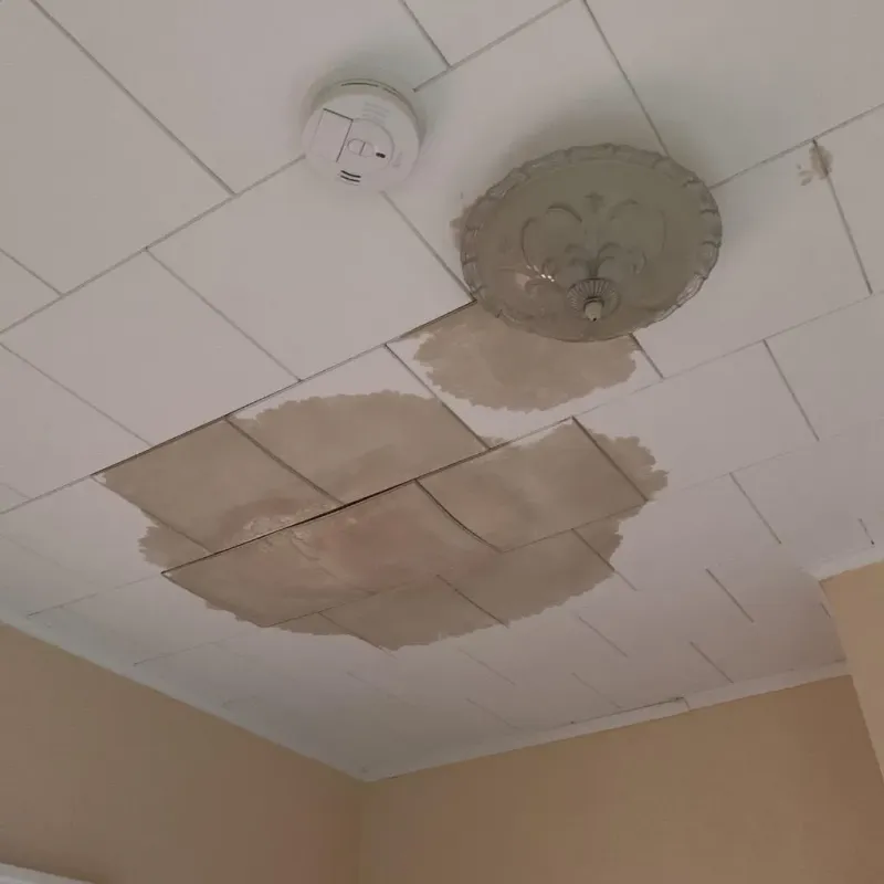 Ceiling Water Damage Repair in Keokuk, IA