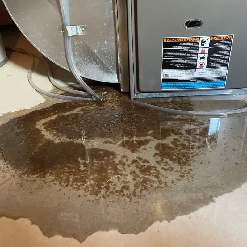 Pipe Burst and Leak Restoration in Keokuk, IA
