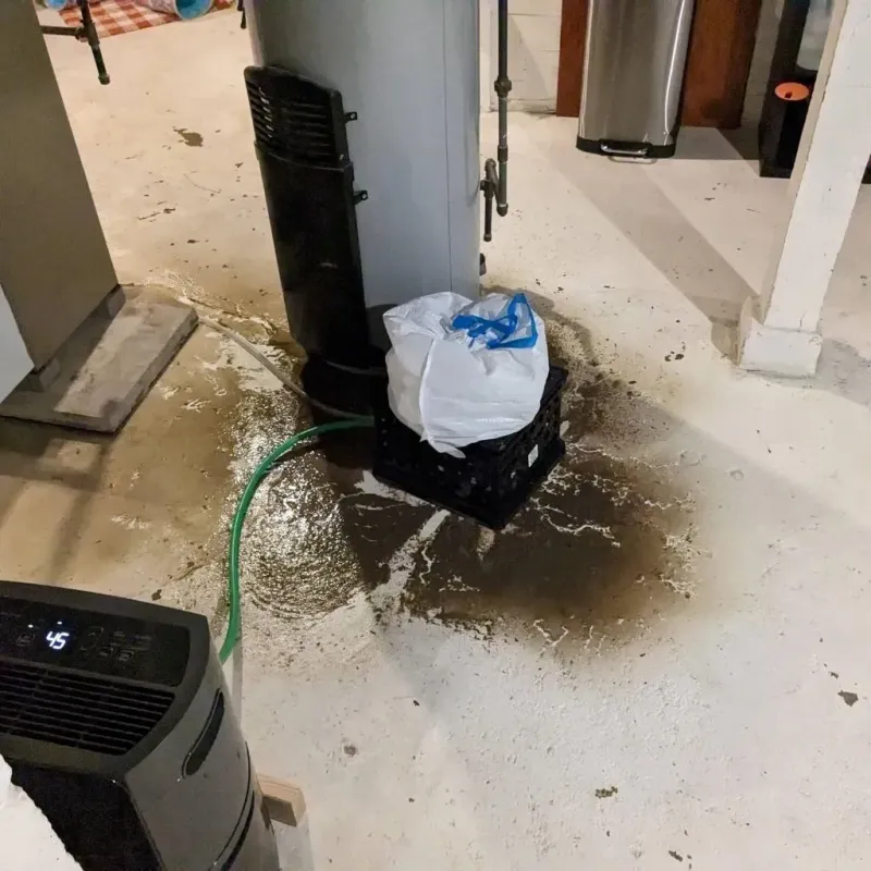 Sewage Backup Cleanup Service in Keokuk, IA